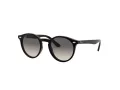 Ray-Ban Naočare za sunce RJ 9064S 100/11