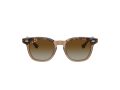 Ray-Ban Naočare za sunce RJ 9098S 7152T5