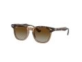 Ray-Ban Naočare za sunce RJ 9098S 7152T5