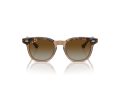 Ray-Ban Naočare za sunce RJ 9098S 7152T5