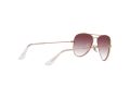 Ray-Ban Junior Aviator Naočare za sunce RJ 9506S 291/8H