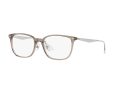 Ray-Ban Naočare 5403D 8274