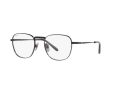 Ray-Ban Frank Titanium Naočare RX 8258V 1237