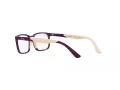 Ray-Ban Naočare RY 1621 3931