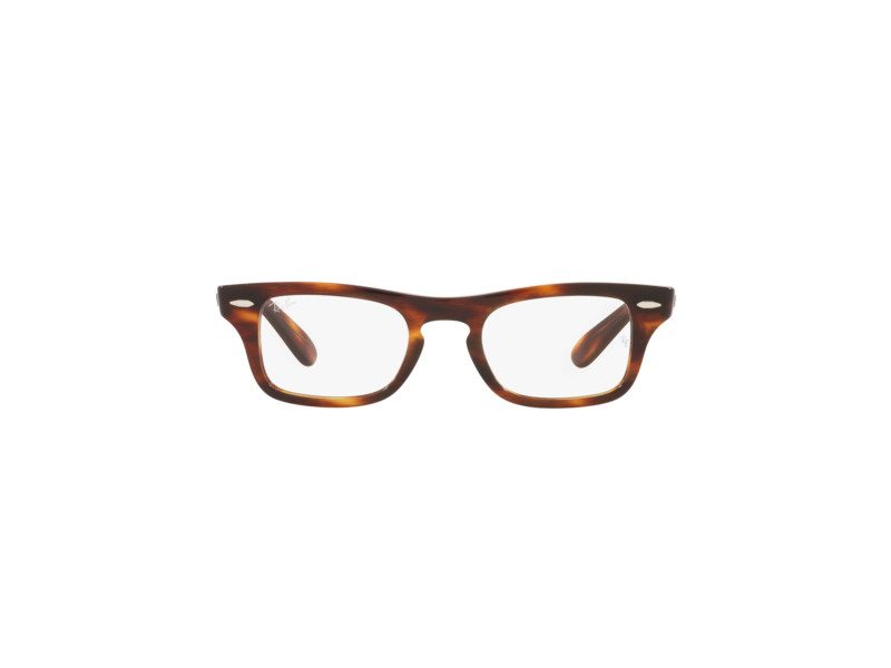 Ray-Ban Burbank Jr Naočare RY 9083V 3888