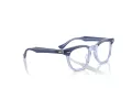 Ray-Ban Naočare RY 9098V 3961