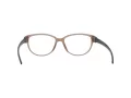 Rodenstock Naočare R 8016 B