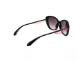 Superdry Naočare za sunce SDS 5022 104