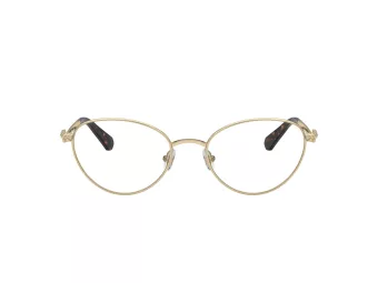 Swarovski Naočare SK 1002 4013