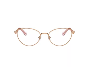 Swarovski Naočare SK 1002 4014