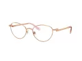 Swarovski Naočare SK 1002 4014