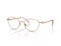 Swarovski Naočare SK 1002 4014