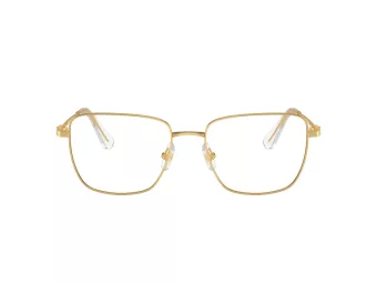 Swarovski Naočare SK 1003 4004