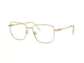 Swarovski Naočare SK 1003 4004