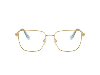 Swarovski Naočare SK 1003 4021