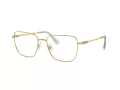 Swarovski Naočare SK 1003 4021