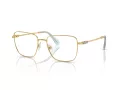 Swarovski Naočare SK 1003 4021