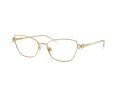 Swarovski Naočare SK 1006 4013