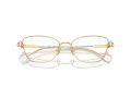 Swarovski Naočare SK 1006 4013