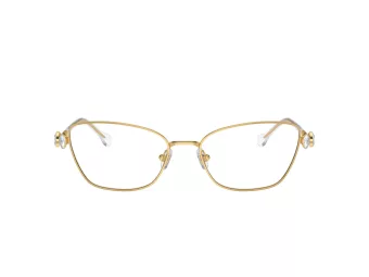 Swarovski Naočare SK 1006 4013