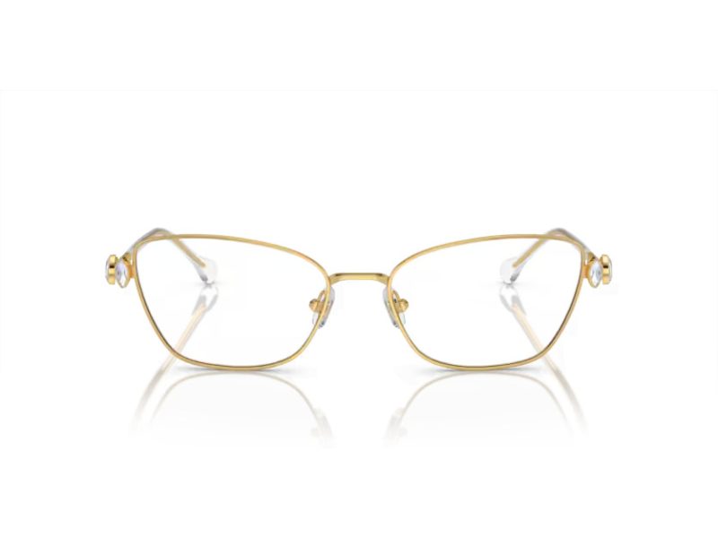 Swarovski Naočare SK 1006 4013
