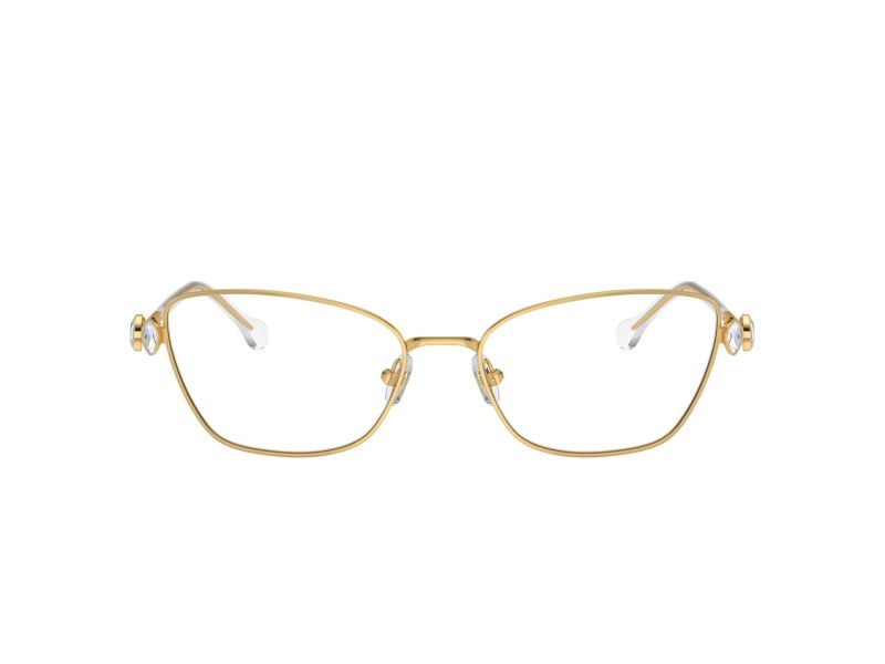 Swarovski Naočare SK 1006 4013