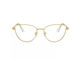 Swarovski Naočare SK 1007 4004