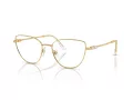 Swarovski Naočare SK 1007 4004