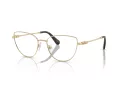 Swarovski Naočare SK 1007 4013