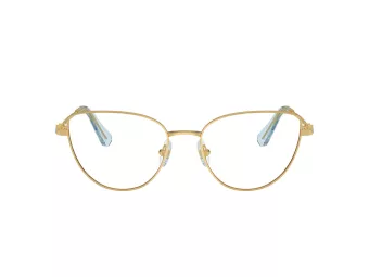 Swarovski Naočare SK 1007 4021