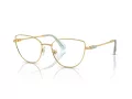 Swarovski Naočare SK 1007 4021