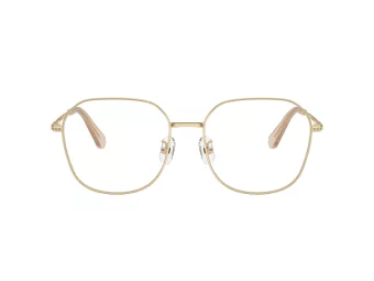 Swarovski Naočare SK 1009D 4013
