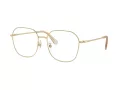 Swarovski Naočare SK 1009D 4013