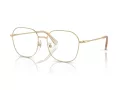 Swarovski Naočare SK 1009D 4013