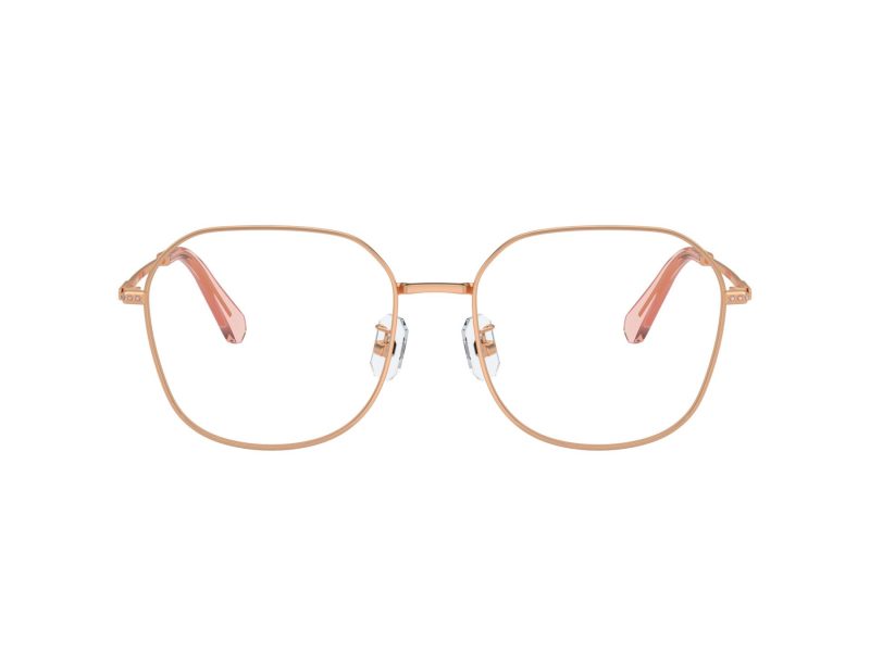Swarovski Naočare SK 1009D 4014