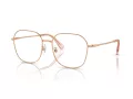 Swarovski Naočare SK 1009D 4014