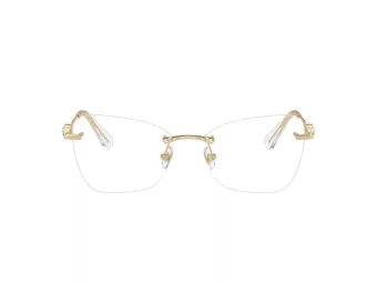Swarovski Naočare SK 1014 4013