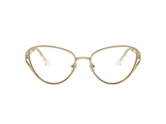 Swarovski Naočare SK 1017 4004