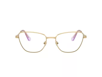 Swarovski Naočare SK 1018 4036