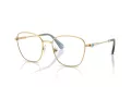 Swarovski Naočare SK 1019 4021