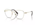 Swarovski Naočare SK 1019 4028
