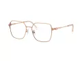 Swarovski Naočare SK 1020D 4014