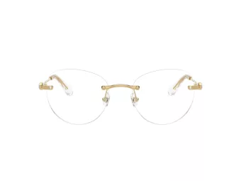 Swarovski Naočare SK 1021 4004