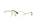 Swarovski Naočare SK 1023 4004