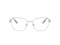 Swarovski Naočare SK 1025 401A