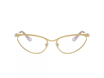 Swarovski Naočare SK 1027 4017