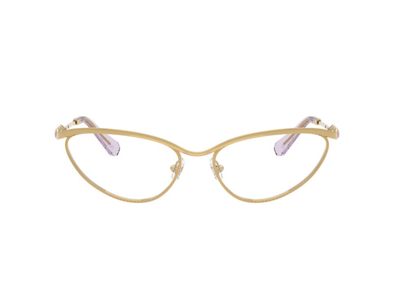 Swarovski Naočare SK 1027 4017