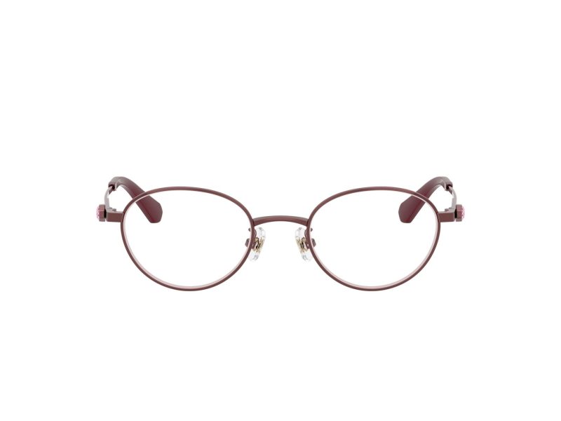 Swarovski Naočare SK 1028TD 4040