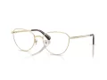 Swarovski Naočare SK 1029D 4013