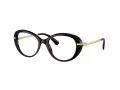 Swarovski Naočare SK 2001 1001